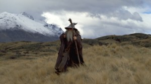 THE LORD OF THE RINGS: FELLOWSHIP OF THE RING, Ian McKellen, 2001